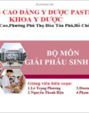 Bài giảng Giải phẫu sinh lý: Giải phẫu sinh lý hệ thần kinh