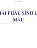 Bài giảng Giải phẫu sinh lý - Bài 6: Giải phẫu sinh lý máu