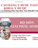 Bài giảng Giải phẫu sinh lý: Giải phẫu sinh lý máu