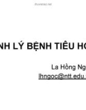 Bài giảng Sinh lý bệnh tiêu hóa - La Hồng Ngọc