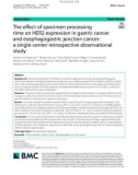 The effect of specimen processing time on HER2 expression in gastric cancer and esophagogastric junction cancer: A single-center retrospective observational study