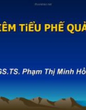 Bài giảng Viêm tiểu phế quản - PGS.TS. Phạm Thị Minh Hồng