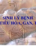 Bài giảng Sinh lý bệnh hệ tiêu hóa, gan, tụy