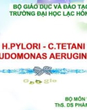 Bài giảng H.pylori - C.tetani pseudomonas aeruginosa - ThS. DS Phẩm Thu Minh