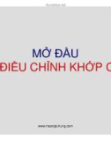 Bài giảng Mở đầu về điều chỉnh khớp cắn - BS. Hoàng Tử Hùng