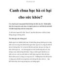 Canh chua bạc hà có hại cho sức khỏe?