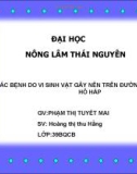 Các bệnh do vi sinh vật gây nên trên đường hô hấp