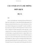 CÁC CƠ QUAN CỦA HỆ THỐNG MIỄN DỊCH (Kỳ 3)