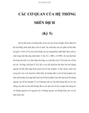 CÁC CƠ QUAN CỦA HỆ THỐNG MIỄN DỊCH (Kỳ 5)