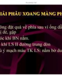 DẪN LƯU MÀNG PHỔI (PHẦN 2)