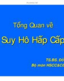 Tổng Quan về Suy Hô Hấp Cấp - TS.BS. Đỗ Quốc Huy