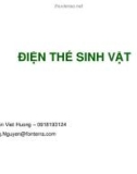 Bài giảng Điện thế sinh vật