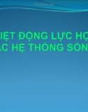 Bài giảng Nhiệt động lực học các hệ thống sống