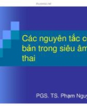 Bài giảng Các nguyên tắc cơ bản trong siêu âm tim thai - PGS. TS. Phạm Nguyễn Vinh