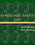 Bài giảng Giải phẫu siêu âm và CT gan - ThS. BS. Bùi Hoàng Tú