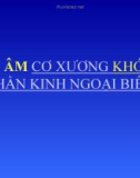 Bài giảng: Siêu âm cơ xương khớp và thần kinh ngoại biên