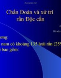 Bài giảng Chẩn đoán và xử trí rắn độc cắn - GS. Vũ Văn Đính