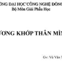 Bài giảng Xương khớp thân mình - GV. Vũ Văn Tiến