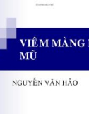 Viêm màng não mủ