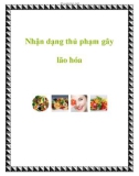 Nhận dạng thủ phạm gây lão hóa