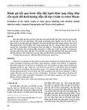 Đánh giá kết quả bước đầu diệt hạch thân tạng bằng tiêm cồn tuyệt đối dưới hướng dẫn cắt lớp vi tính và robot Maxio