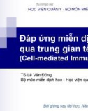 Đáp ứng miễn dịch qua trung gian tế bào (Cell-mediated Immunity)