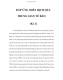 ÐÁP ỨNG MIỄN DỊCH QUA TRUNG GIAN TẾ BÀO (Kỳ 3)