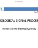 Lecture Physiological signal processing - Chapter 1: Introduction to electrophysiology