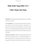 Thần Kinh Ngoại Biên Và 3 Chức Năng Lâm Sàng