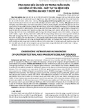 Ứng dụng siêu âm nội soi trong chẩn đoán các bệnh lý tiêu hóa mật tụy tại Bệnh viện trường Đại học Y Dược Huế