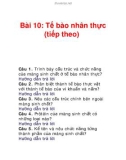 Bài 10: Tế bào nhân thực (tiếp theo)