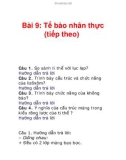 Bài 9: Tế bào nhân thực (tiếp theo)