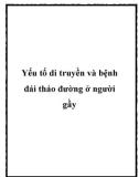 Yếu tố di truyền và bệnh đái tháo đường ở người gầy