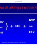 Bài giảng điều trị HIV : Thuốc kháng retrovirus - Liều dùng và tác dụng phụ part 2