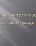 Bài giảng Đánh giá an toàn thực phẩm - GS.TS.BS. Lê Hoàng Ninh