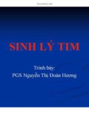 Bài giảng Sinh lý tim - PGS. Nguyễn Thị Đoàn Hương