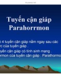 Bài giảng Tuyến cận giáp - Parahorrmon