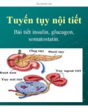 Bài giảng Tuyến tụy nội tiết