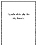 Nguyên nhân gây tiêu chảy kéo dài