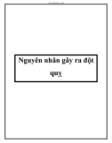 Nguyên nhân gây ra đột quỵ