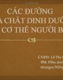 Bài giảng Các đường đưa chất dinh dưỡng vào cơ thể người bệnh - Lê Thị Như Ngọc