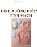 Bài giảng Dinh dưỡng đường tĩnh mạch