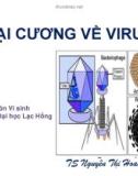 Bài giảng Đại cương về virus - TS. Nguyễn Thị Hoàng Lan