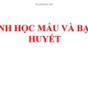 Bài giảng Bệnh học máu và bạch huyết