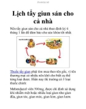 Lịch tẩy giun sán cho cả nhà