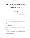 GIẢI PHẪU CHI TRÊN XƯƠNG KHỚP CHI TRÊN (Kỳ 5)