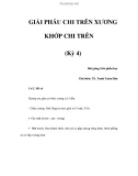 GIẢI PHẪU CHI TRÊN XƯƠNG KHỚP CHI TRÊN (Kỳ 4)