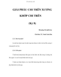 GIẢI PHẪU CHI TRÊN XƯƠNG KHỚP CHI TRÊN (Kỳ 8)