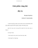 Giải phẫu vùng đùi (Kỳ 6)