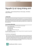 Nguyên lý sử dụng kháng sinh